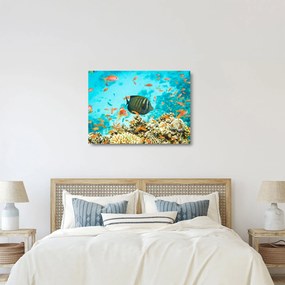Tablou pe sticlă lumii submarine (70x50 cm)