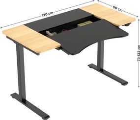 HALDEN birou cu reglare electrică a înălțimii, 120x60 cm negru-burlywood