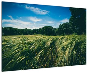 Tablou cu linca și pădure (90x60 cm)