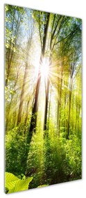 Tablou pe acril Soare în pădure