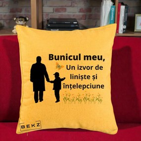 Cadou pentru Bunic - Perna Personalizata Bunicul Meu Izvor de Liniste cu Fluture si Baietel, 40x40 cm, Galben, Husa Detasabila, Perna Inclusa, BEKZ®