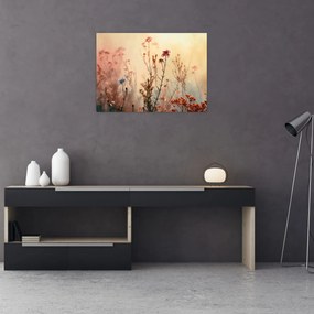 Tablou - Flori sălbatice (70x50 cm)