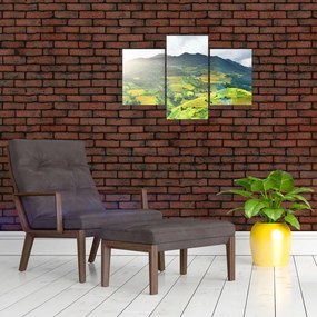 Tablou plantație (90x60 cm)