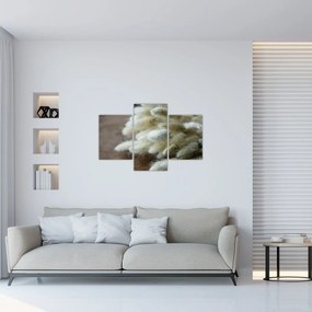 Tablou - Coadă de iepure (90x60 cm)