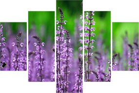 Tablou cu flori de luncă violete (150x105 cm)