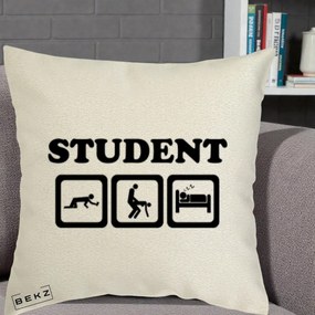 Perna Decorativa Student Life, 40x40 cm, Ecru, Husa Detasabila, Perna Inclusa, BEKZ®