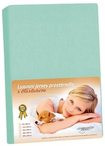 Cearșaf din jersey cu elastan, turcoaz, 160 x 200cm, 160 x 200 cm