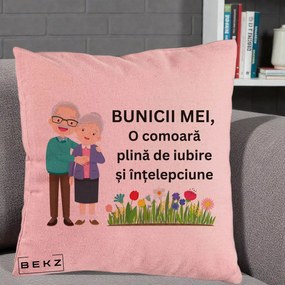 Cadou pentru Bunici - Perna Personalizata Bunicii Mei Comoara Cuplu Senior cu Flori Colorat, 40x40 cm, Roz, Husa Detasabila, Perna Inclusa, BEKZ®