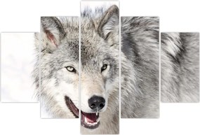 Tablou - Lupul în natură (150x105 cm)