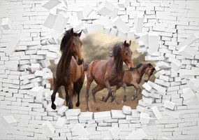 Fototapet - 3D cai în perete (254x184 cm)