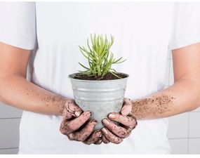 Ghiveci din metal ø 14 cm – Esschert Design