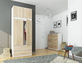 Suprastructură pentru dulap Sashka  (Alb + stejar sonoma). 1069948