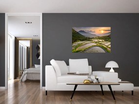 Tablou - Terase de orez (90x60 cm)