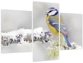 Tablou - Tit albastru în pădure (90x60 cm)