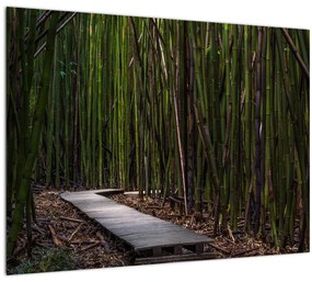 Tablou - Între bambus (70x50 cm), în 40 de alte dimensiuni noi