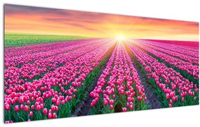 Tablou cu câmp de lalele cu soare (120x50 cm)