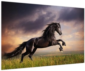 Tablou - Cai (90x60 cm)