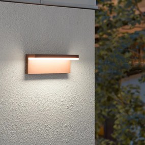 Brilagi - Aplica de perete LED pentru exterior TESSI, 10W/230V, maro, IP54