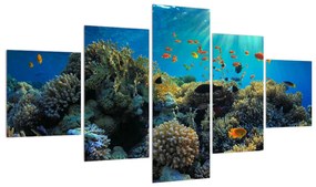Tablou cu lumea submarină (125x70 cm), în 40 de alte dimensiuni noi