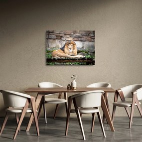 Tablou pe sticlă cu leu (70x50 cm)