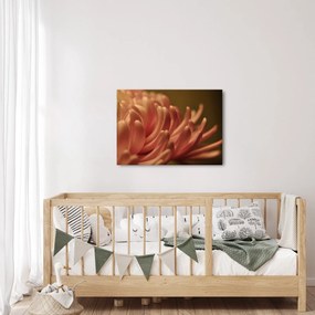 Tablou cu detailu florii (70x50 cm)