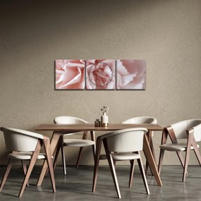 Tablou - Detaliu flori (cu ceas) (90x30 cm)