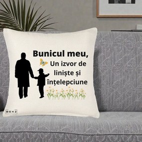 Cadou pentru Bunic - Perna Personalizata Bunicul Meu Izvor de Liniste cu Fluture si Baietel, 40x40 cm, Crem Reliefat, Husa Detasabila, Perna Inclusa, BEKZ®