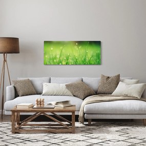 Tablou - roua pe iarbă (120x50 cm)