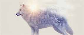 Tablou - Lupul arctic oglindit în peisaj sălbatic (120x50 cm)