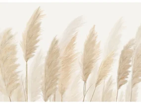 Tapet foto XXL Pampas 360 x 254 cm, 4 părți