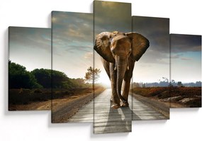 Tablou cu elefant (150x105 cm)