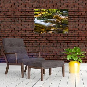 Tablou pe sticlă cu părâu (70x50 cm)