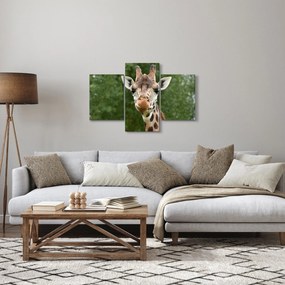 Tablou cu girafa (90x60 cm)