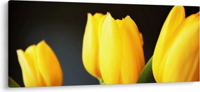 Tablou cu lalele (120x50 cm)