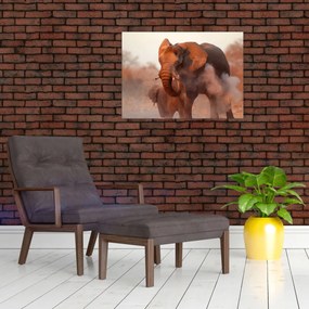 Tablou pe sticlă - Marele elefant african (70x50 cm)