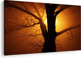 Tablou cu copac în apus de soare (90x60 cm)