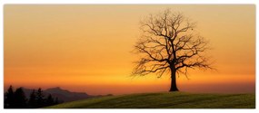 Tablou cu apus de soare pe o luncă (120x50 cm)