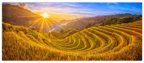 Tablou - Terasele de orez din Vietnam (120x50 cm)