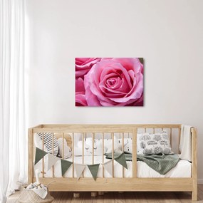 Tablou cu trandafir (70x50 cm)