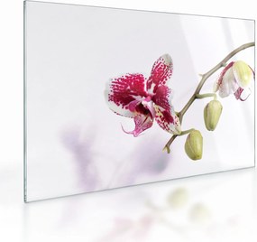 Tablou pe sticlă cu floarea de orhidee (70x50 cm)