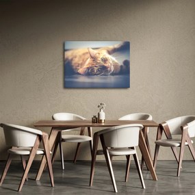 Tablou - Pisici pe podea (70x50 cm)