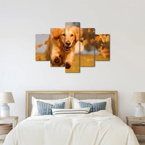 Tablou - Golden Retriever (150x105 cm)
