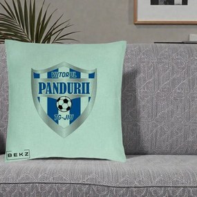 Perna Personalizata Pandurii Targu Jiu Fotbal, 40x40 cm, Verde Menta, Husa Detasabila, Perna Inclusa, BEKZ®
