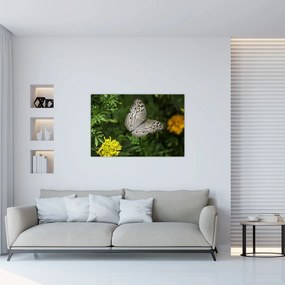 Tablou - fluture alb (90x60 cm)