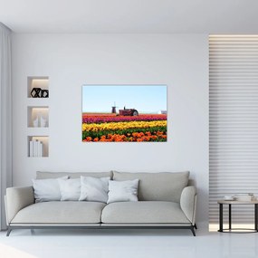 Tablou cu farma de lalele (90x60 cm)