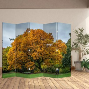 Paravan - Copac (210x170 cm)
