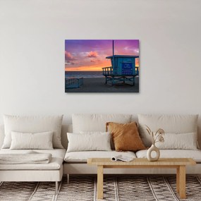 Tablou de pe plaja Santa Monica (70x50 cm)
