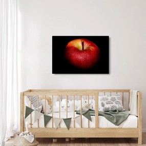 Tablou cu măr pe fundal negru (90x60 cm)