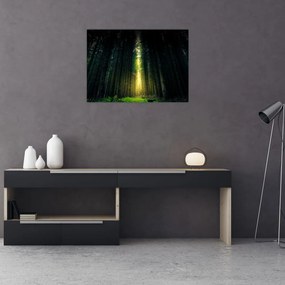 Tablou pe sticlă cu pădurea întunecată (70x50 cm)