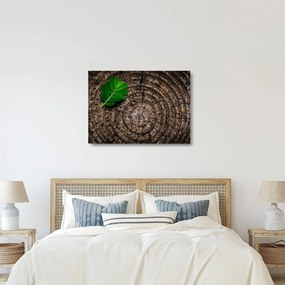 Tablou pe sticlă cu frunză pe trunchi de copac (70x50 cm)